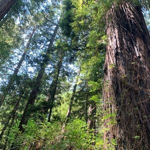 Meet your Posher, May